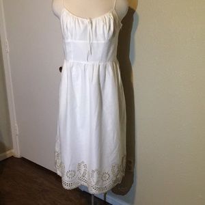Ann Taylor LOFT Dress with tags